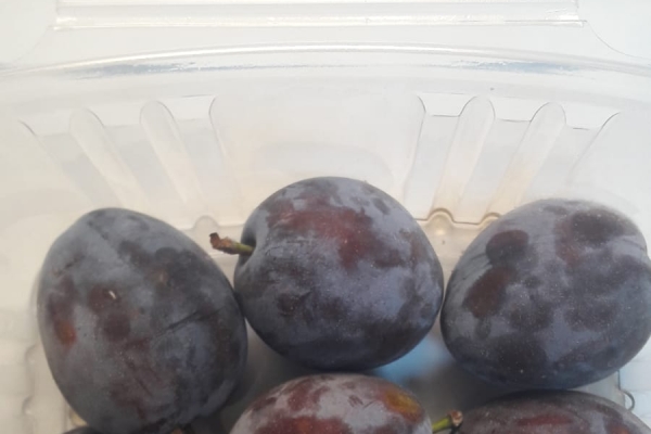 ambalare-prune-in-atmosfera-modificata43CF53B2-1CAC-7D21-70C8-9BC503DA37C2.jpg