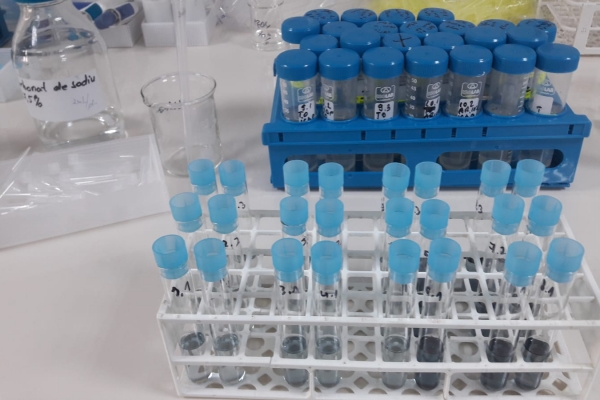 analiza-polifenolilot-totali-prin-uv-vis-la-aronia-ecologica887C023E-29E1-55A0-EB5C-7B4D0E5E3AB0.jpg