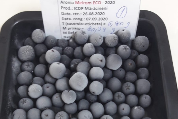 aronia-congelata-rapid-la-80-c85BABFC6-63BA-FC32-F085-8DBBD010BA33.jpg