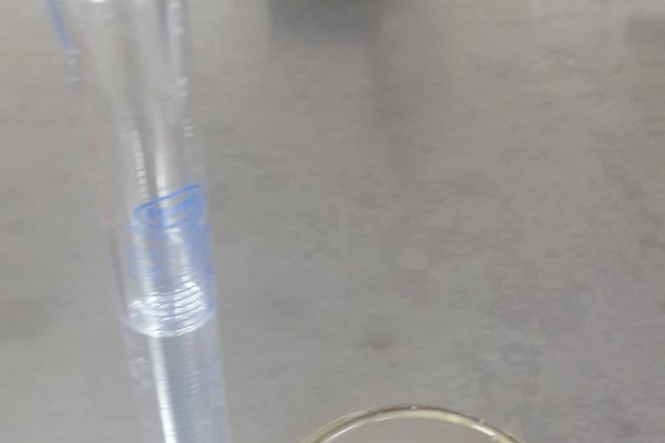 extractia-vitaminei-c-din-capsune-ecologiceF480AF84-C296-7B64-B3D7-EF0A665F7D0D.jpg