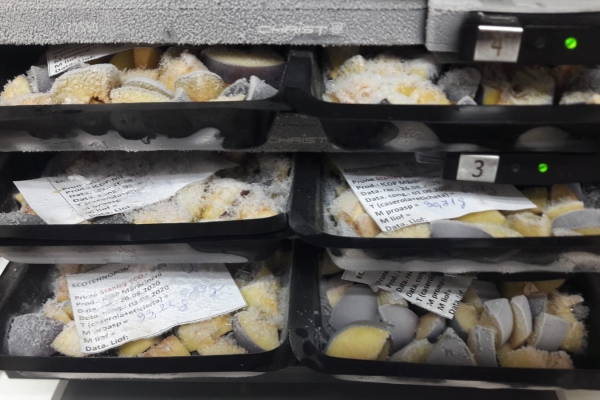 prune-ecologice-in-liofilizatorF867031E-CEC9-5F23-8225-F67D9F43ED97.jpg