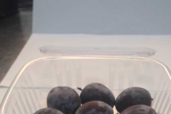prune-ecologice-pastrate-in-atmosfera-modificataEF3CBFE3-E438-C4AE-F2BB-FC1925FD8AA1.jpg